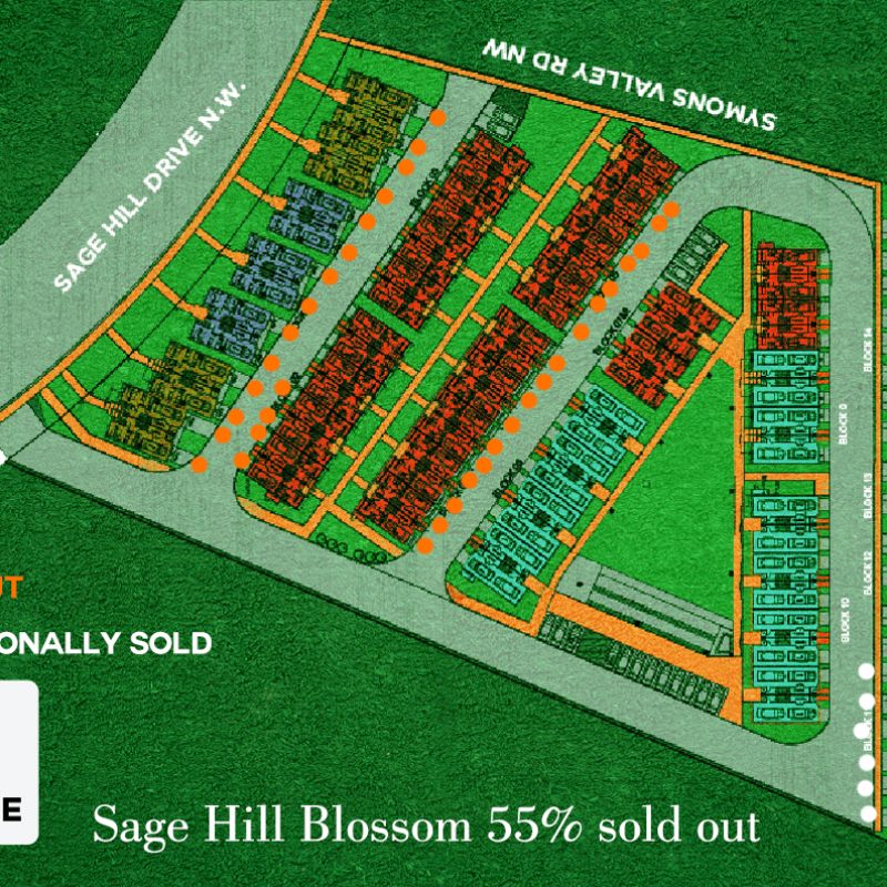 sahe-hill-blossom